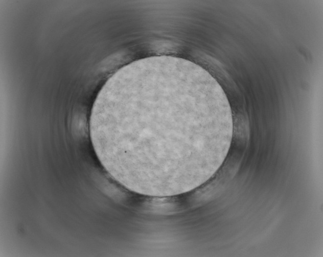 X0000112860622200910021313