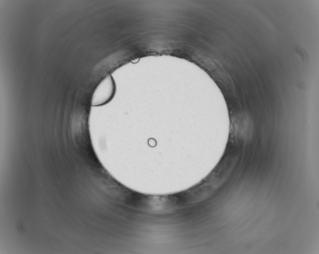 X0000112860623200910021313