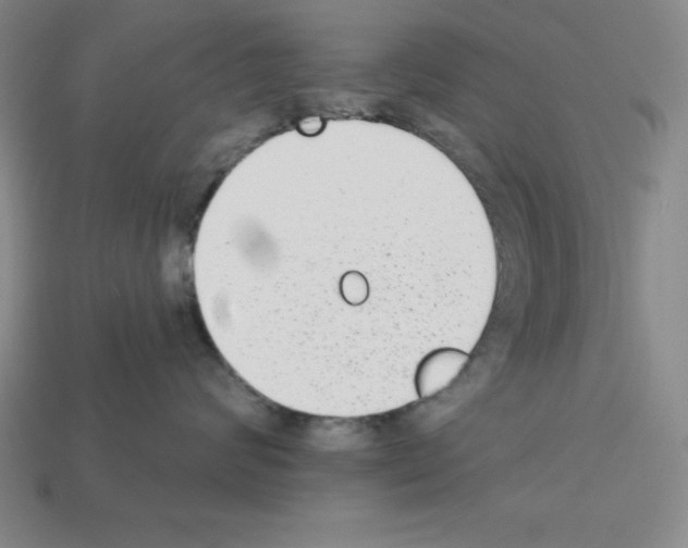 X0000112860624200910021313