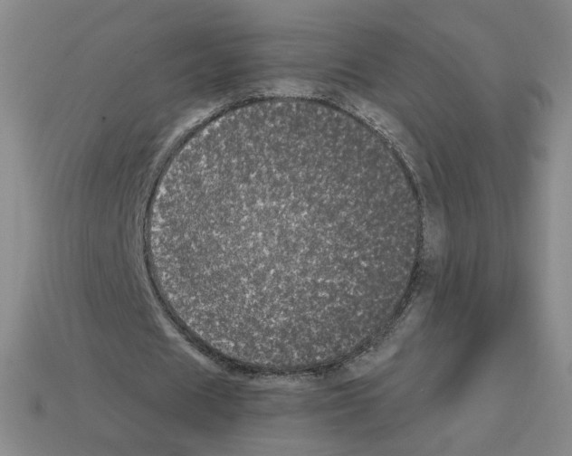 X0000112860625200910021312