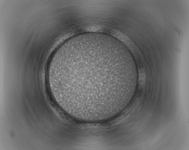 X0000112860626200910021312