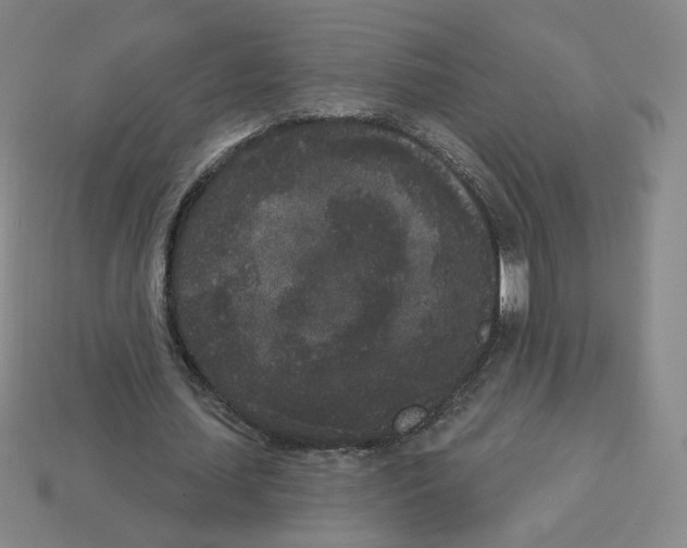 X0000112860627200910021312