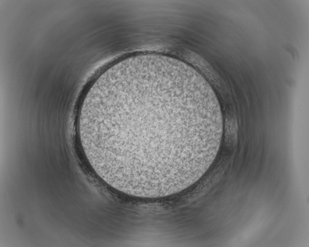 X0000112860628200910021312