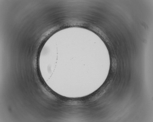 X0000112860629200910021312