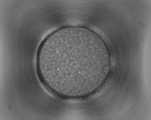 X0000112860630200910021312
