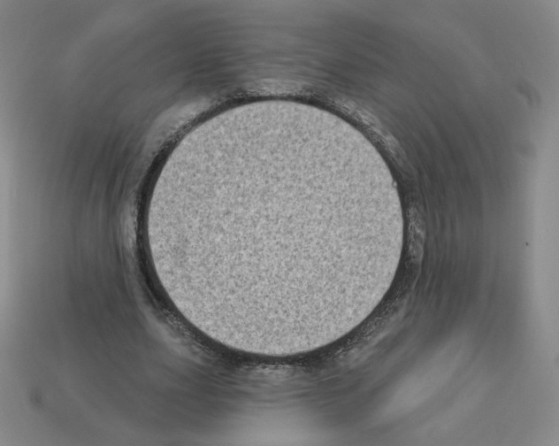 X0000112860631200910021312