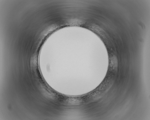 X0000112860632200910021312