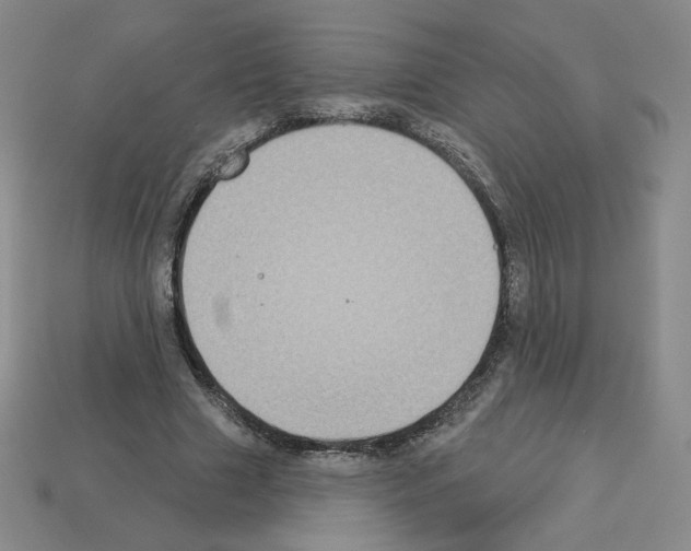 X0000112860633200910021312