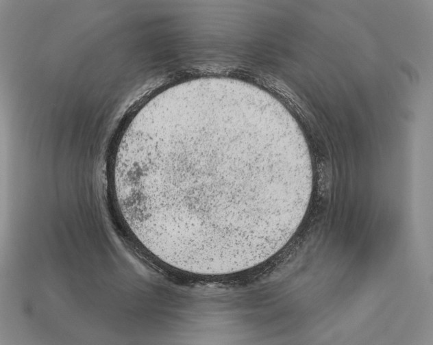 X0000112860634200910021312