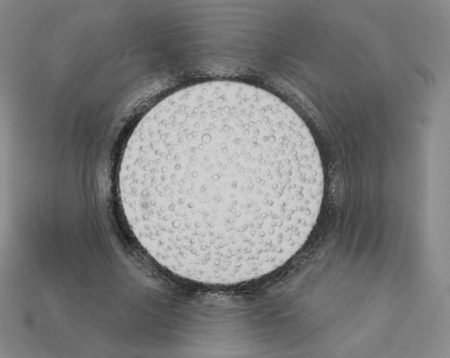 X0000112860635200910021312