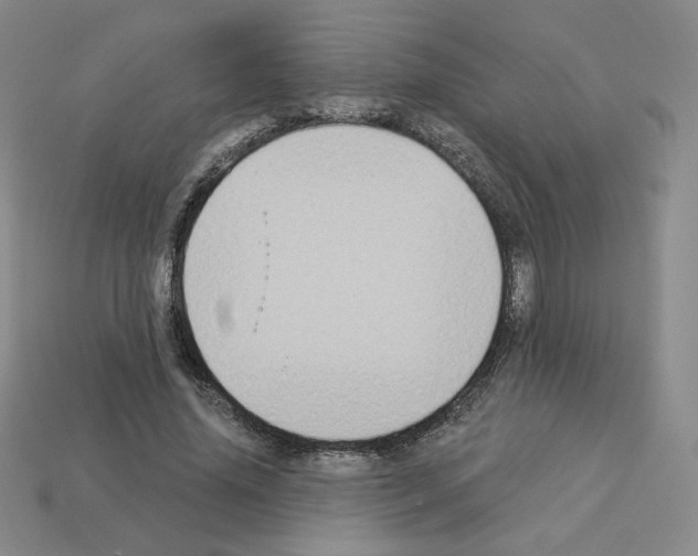X0000112860636200910021312