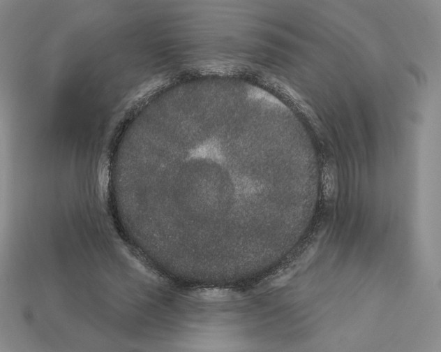 X0000112860637200910021312