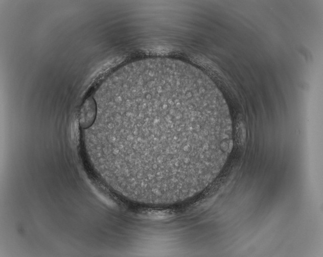 X0000112860638200910021312
