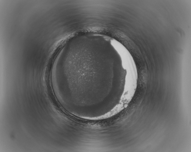 X0000112860640200910021312