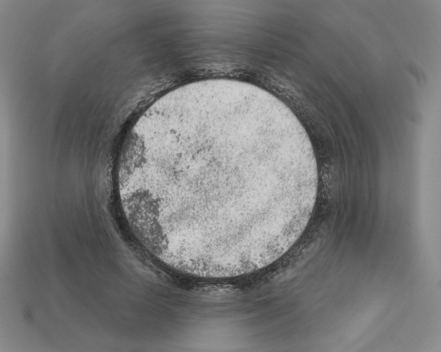 X0000112860642200910021312
