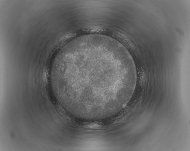 X0000112860643200910021312