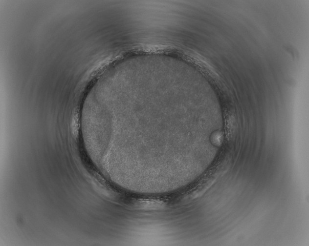 X0000112860644200910021312