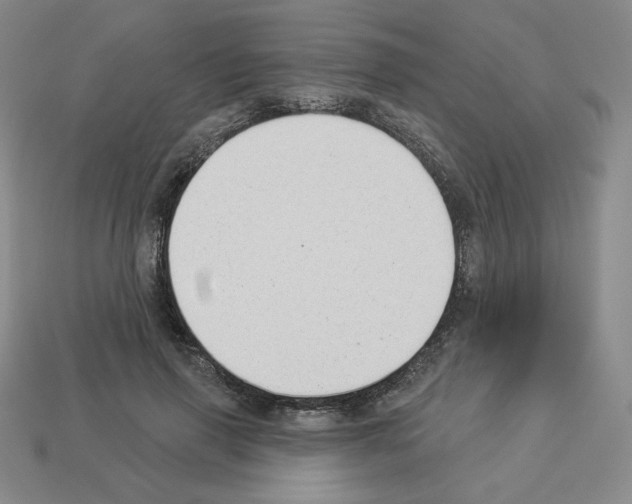 X0000112860645200910021312
