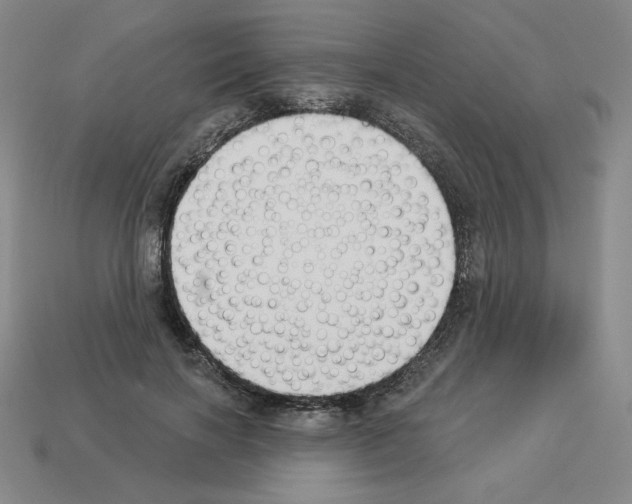 X0000112860646200910021312