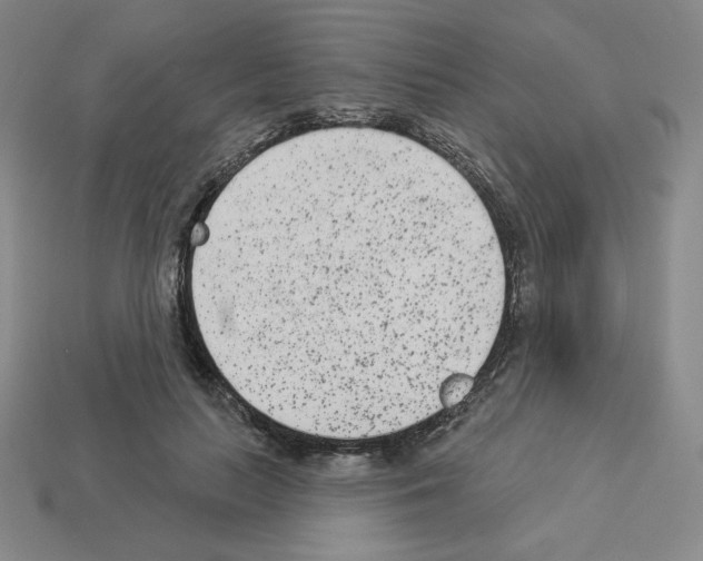 X0000112860647200910021312