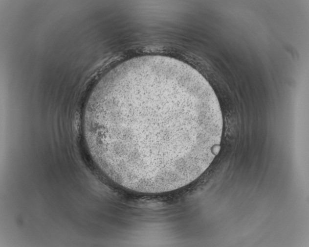 X0000112860648200910021312