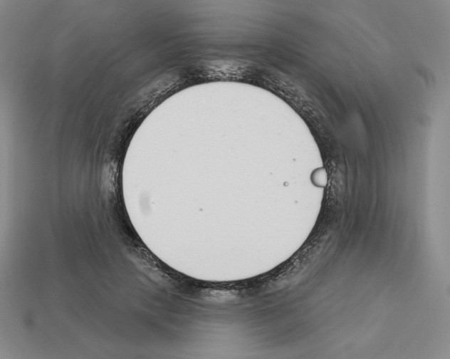 X0000112860649200910021312