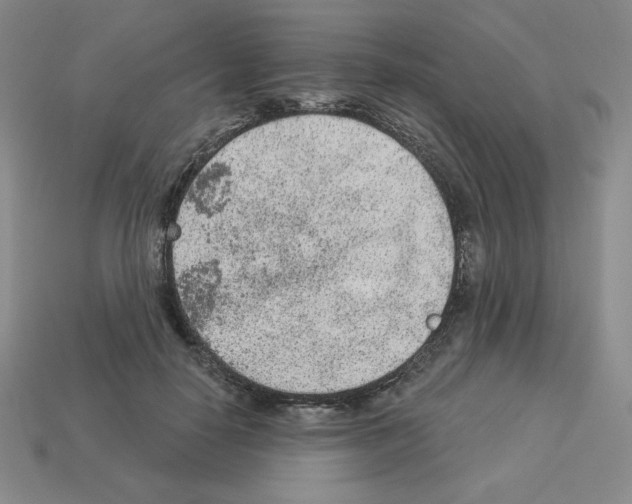 X0000112860650200910021312