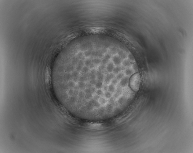 X0000112860651200910021313