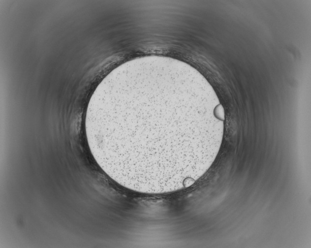 X0000112860652200910021313
