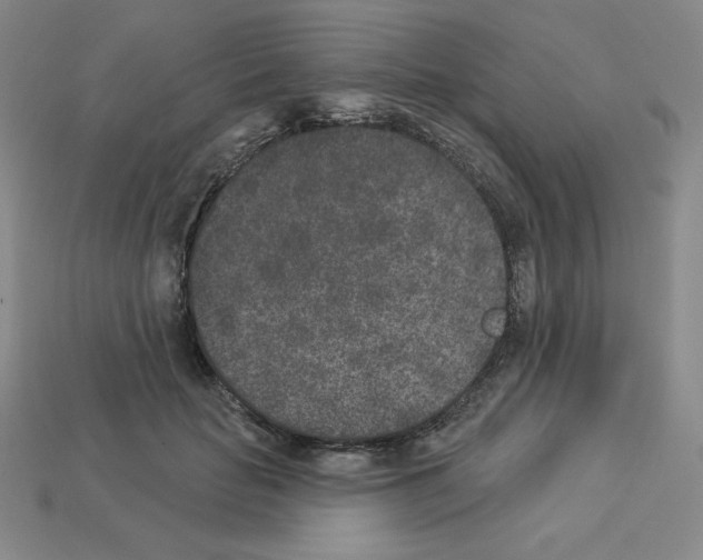 X0000112860653200910021313