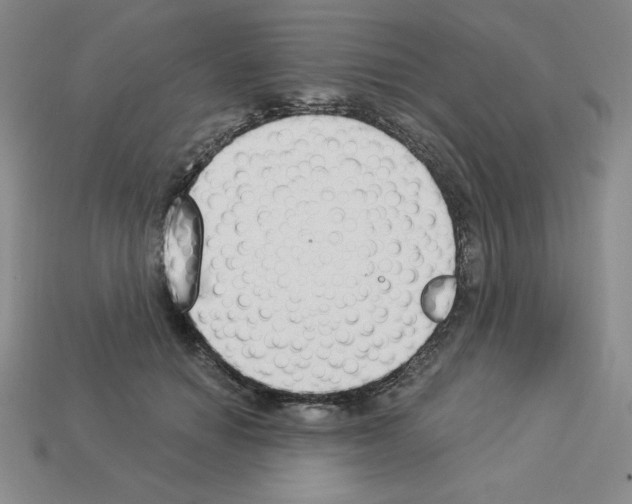 X0000112860654200910021313