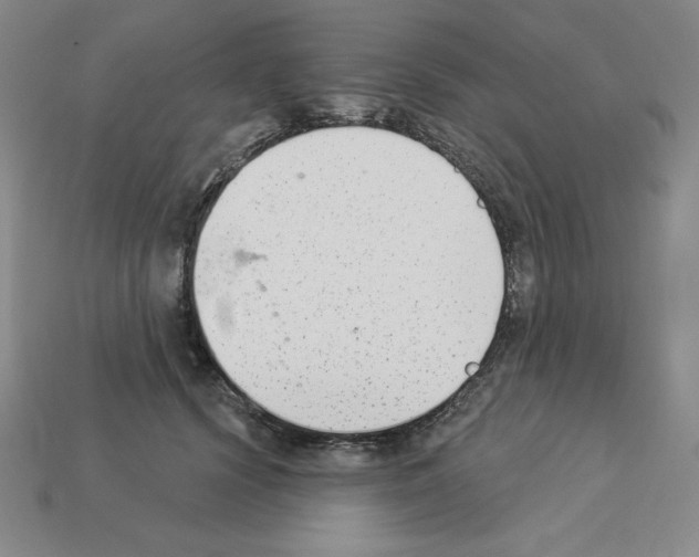 X0000112860656200910021313