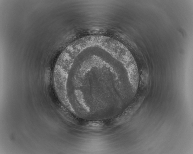 X0000112860659200910021313