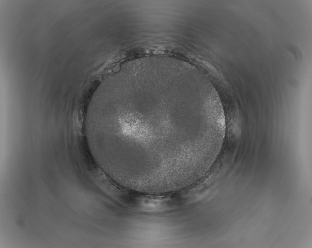 X0000112860661200910021313