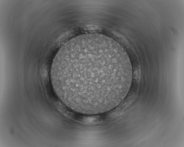 X0000112860662200910021313