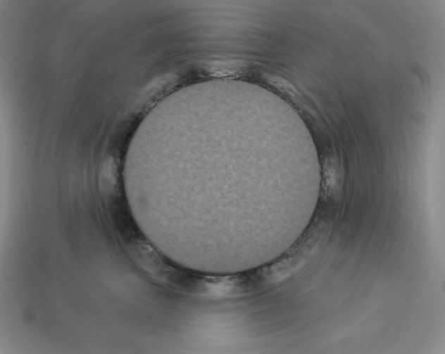 X0000112860667200910021313