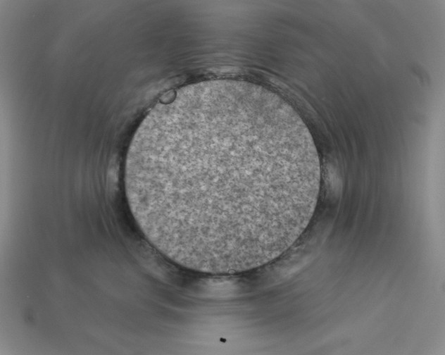 X0000112860668200910021313