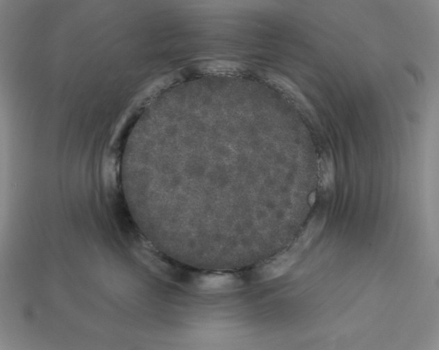 X0000112860669200910021313
