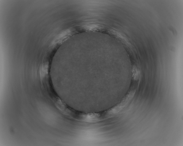 X0000112860670200910021313