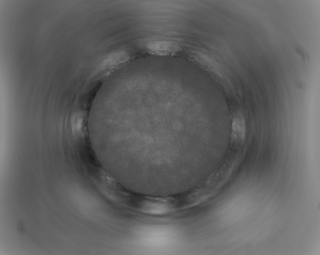 X0000112860671200910021313