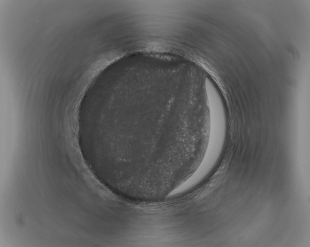 X0000112860673200910021312