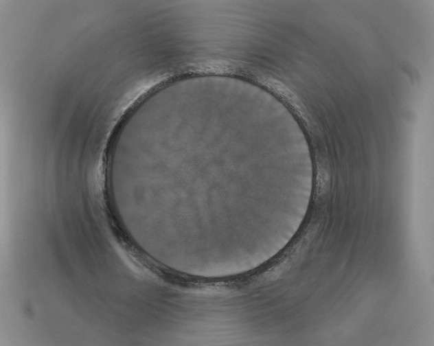 X0000112860674200910021312