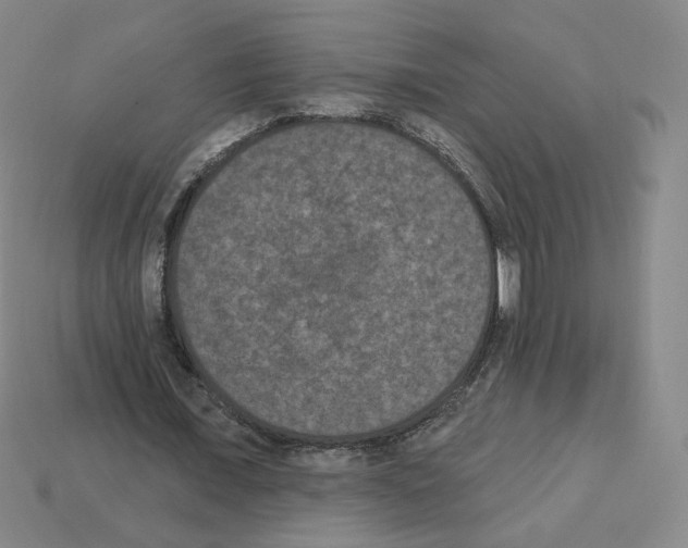 X0000112860675200910021312