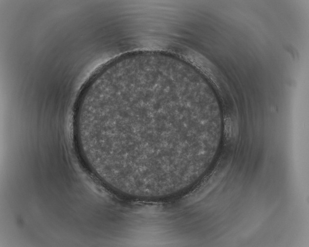 X0000112860676200910021312