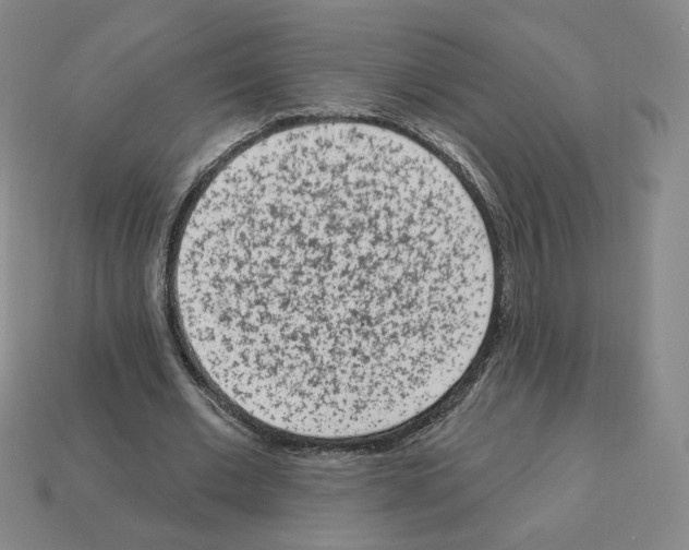 X0000112860677200910021312
