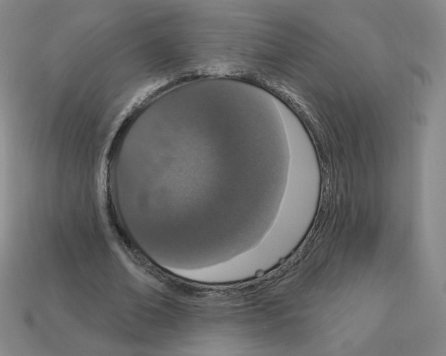 X0000112860678200910021312