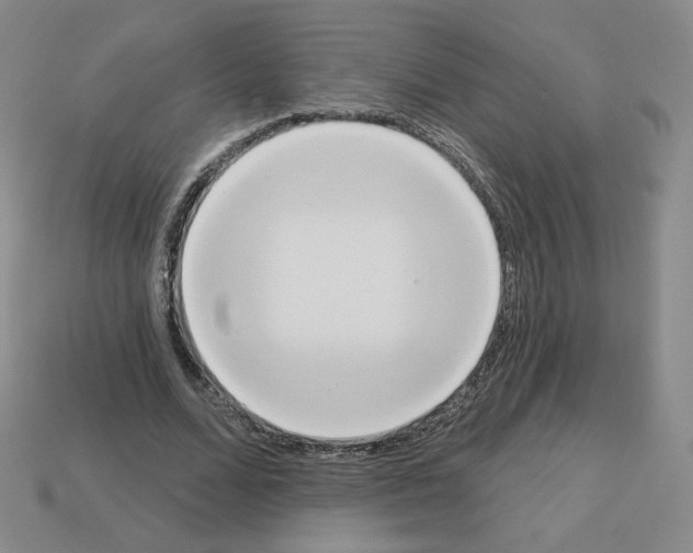 X0000112860680200910021312