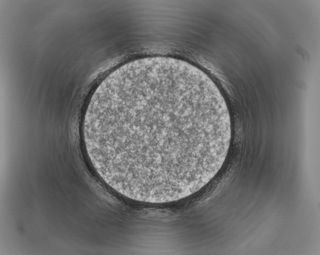 X0000112860681200910021312