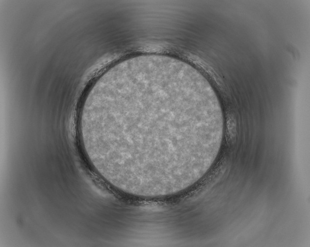X0000112860682200910021312
