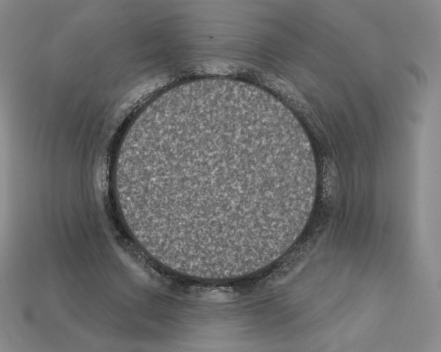 X0000112860683200910021312